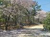 양산 숲세권 전원주택  18번째 이미지