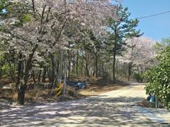 양산,출장,워케이션 17번째 이미지