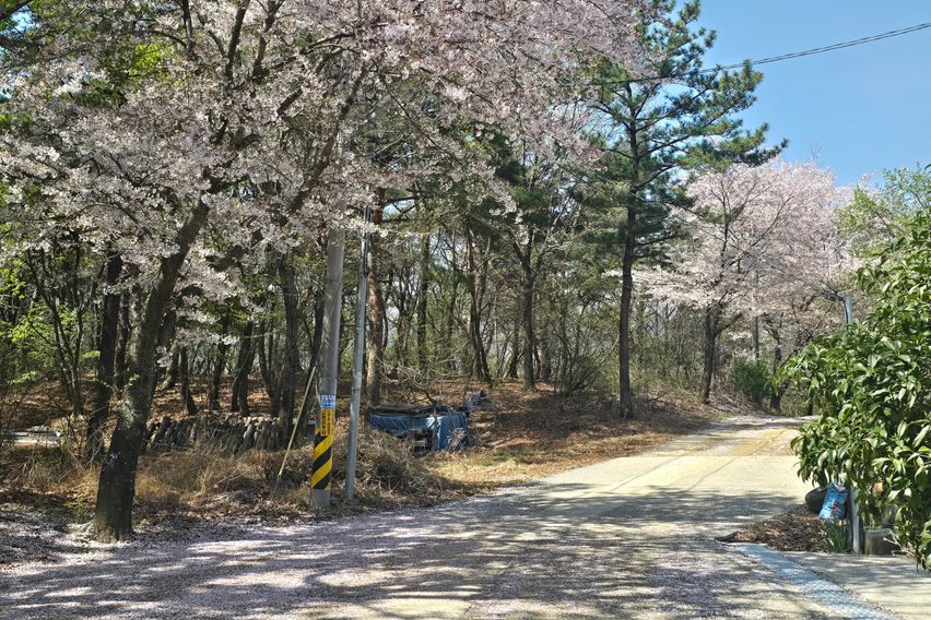 양산 숲세권 전원주택  18번째 이미지