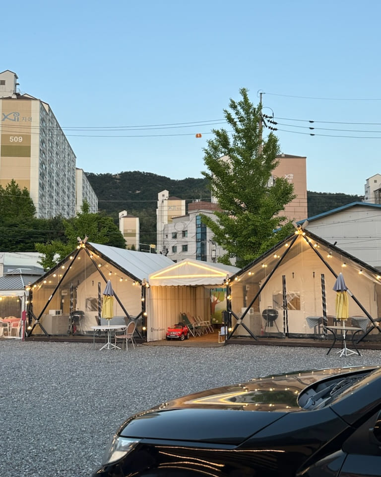 Cheonbosan Mountain: Pets allowed 9th image