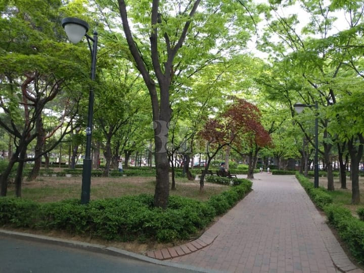 Studio Apartment in Irwon-dong (Near Samsung  9th image