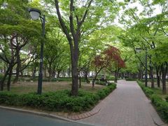 일원동원룸삼성병원옆A 9번째 이미지