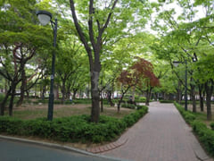 Studio Apartment in Irwon-dong (Near Samsung 9th image
