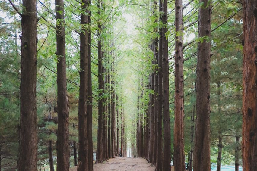 철산21평아파트🏡가디 16번째 이미지