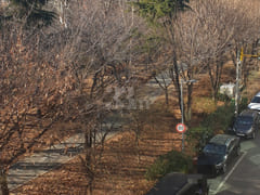 Line 7 Station Area: 4 Restaurants with a Vie 10th image