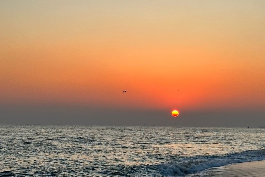 🌅👍가성비최고^^