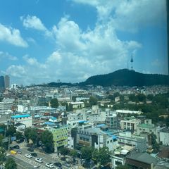 Yongsan Namsan Tower View Duplex Unit Image