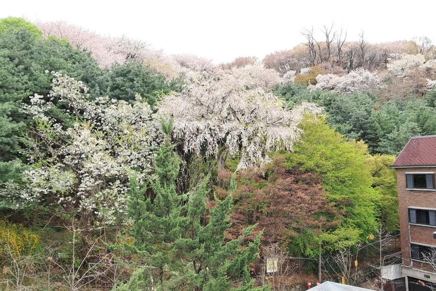 연희동스테이_105 8번째 이미지