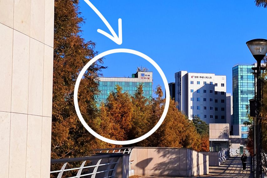 김포공항/마곡/고촌