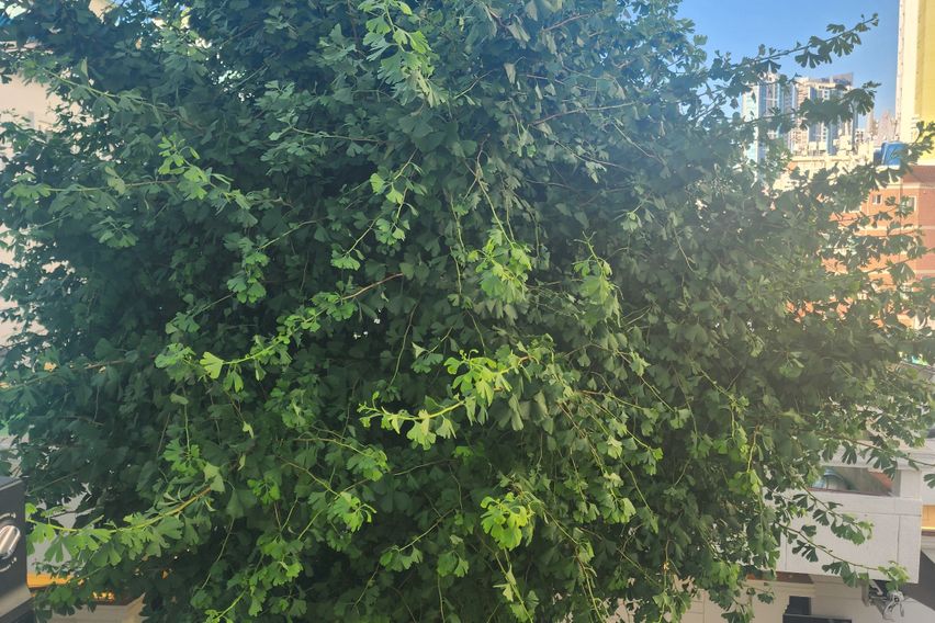 광안리드론쇼 광대뷰맛집