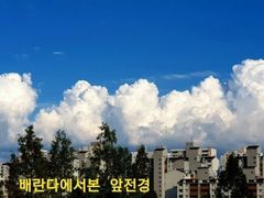산속 자연과 새소리안전 5번째 이미지