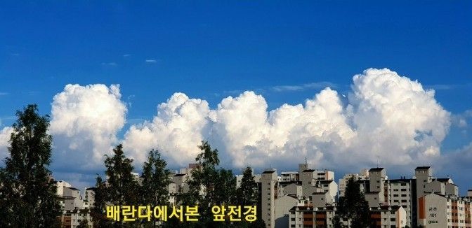 산속 자연과 새소리안전 5번째 이미지