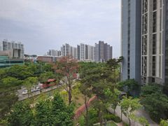 효성동 대신아파트 3번째 이미지