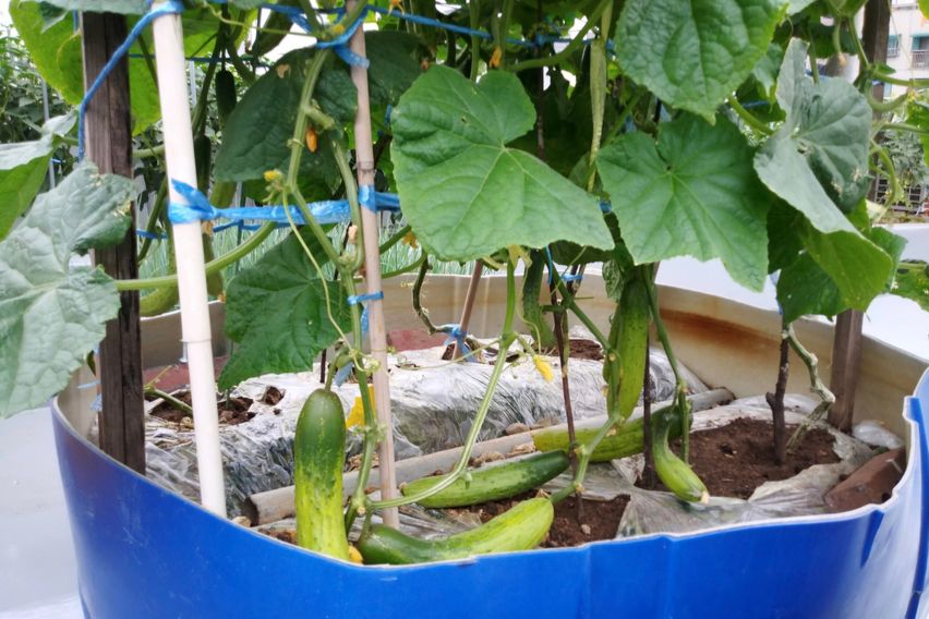 부천역5분,깔끔원룸#4 17번째 이미지