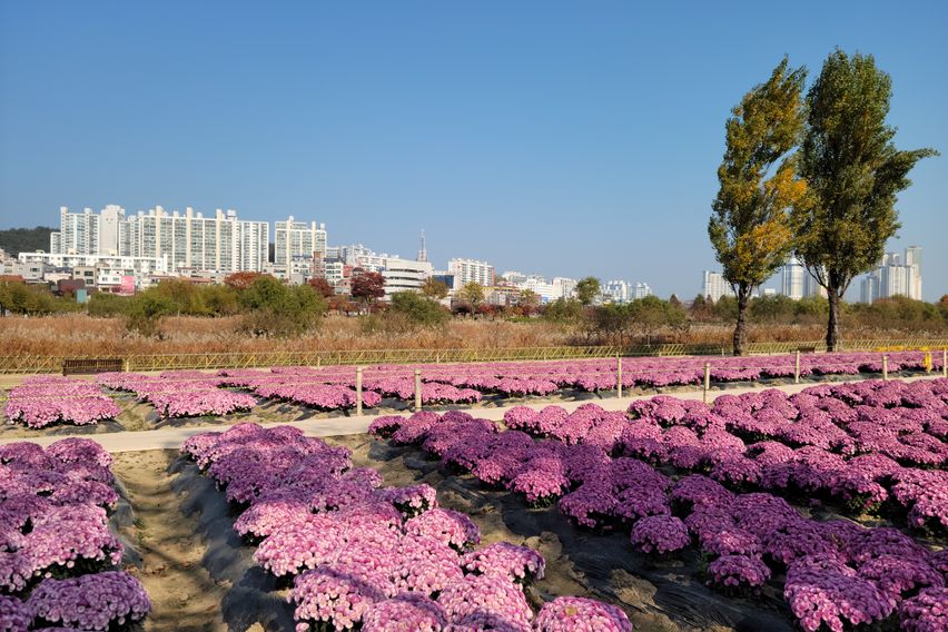 2 국가정원 방2퀸2