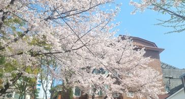 김영은 방 이미지