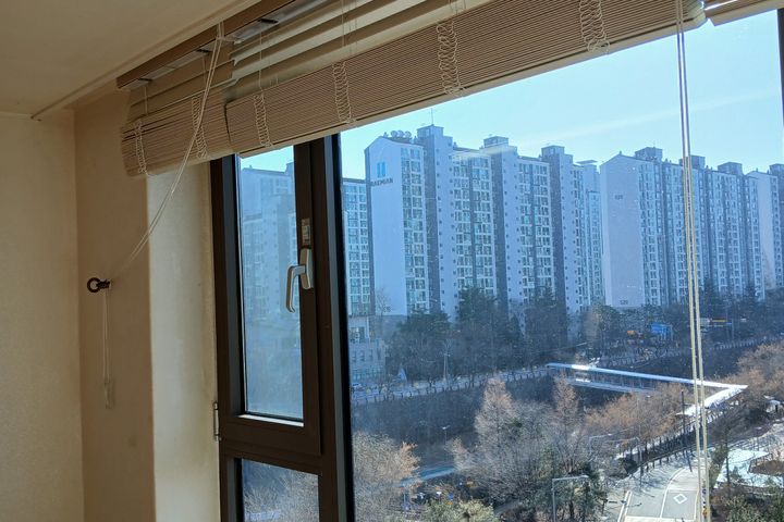 파라다이스 7번째 이미지