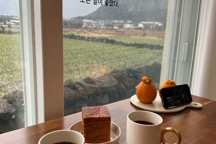 산방산 돌담_달무리 5번째 이미지