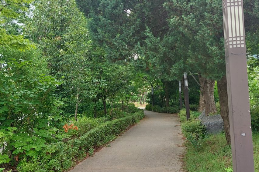 전북대1분전북대병원5분 16번째 이미지