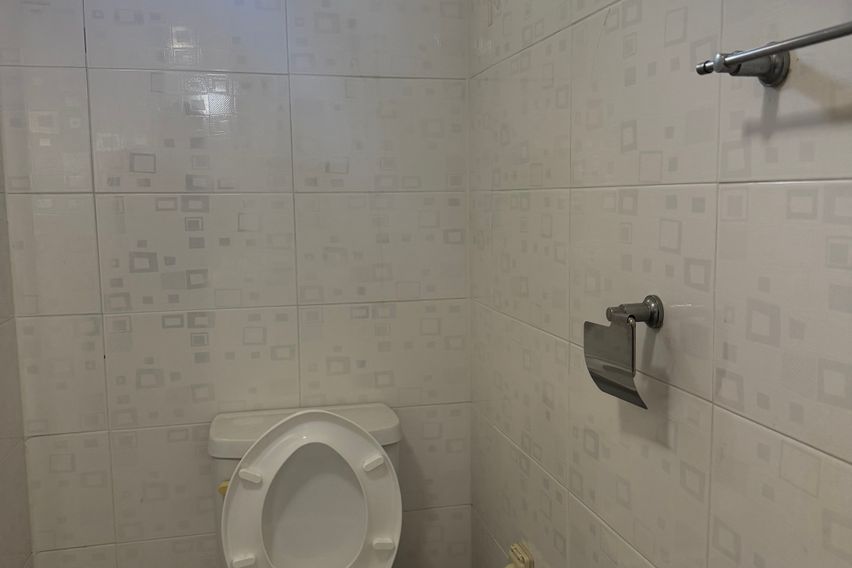 옐로우 하우스 8번째 이미지