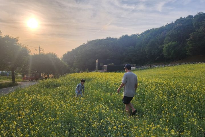음성군 힐링 독채 주택 1번째 이미지