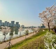 미사역1분신축화이트룸A 14번째 이미지