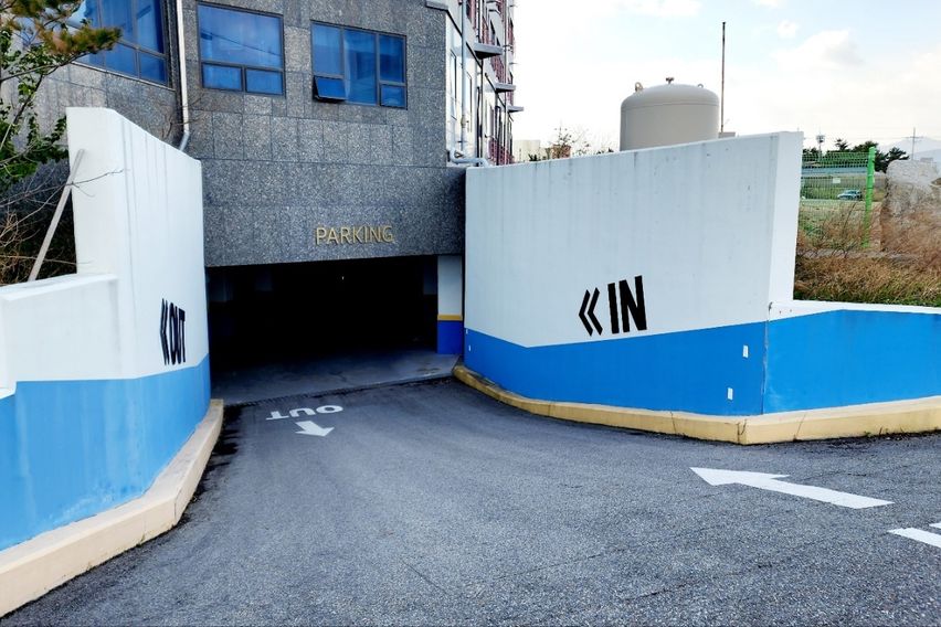 해변코앞 반려견O 한달 18번째 이미지