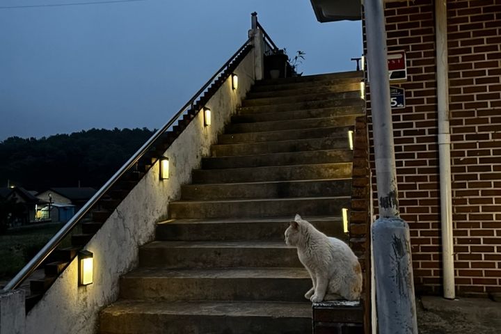 조용한쉼이 있는곳 10번째 이미지