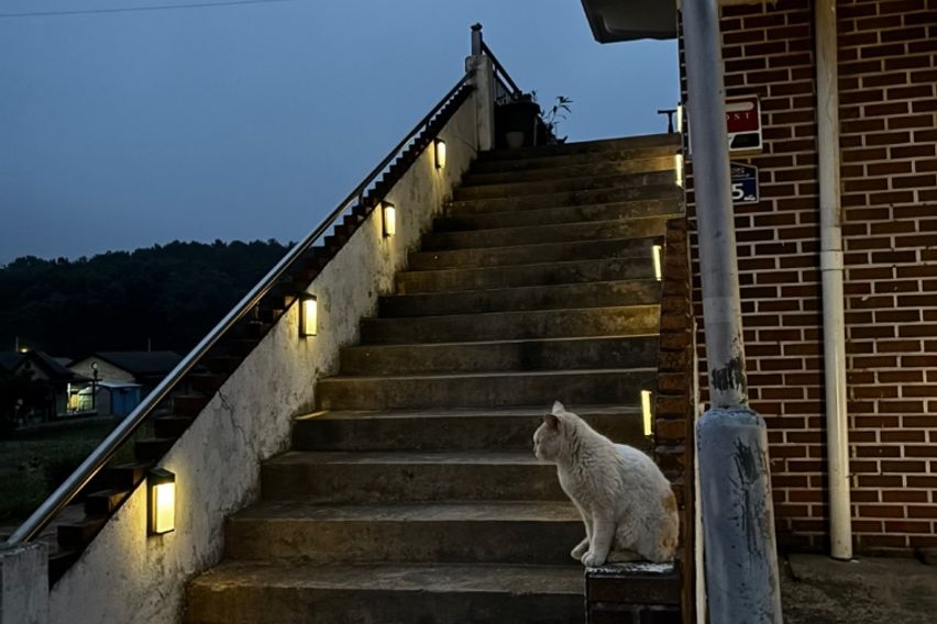 조용한쉼이 있는곳 10번째 이미지