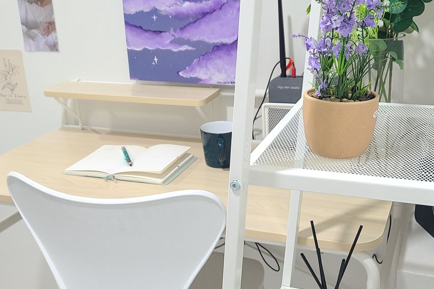 227스테이 -스탠다드