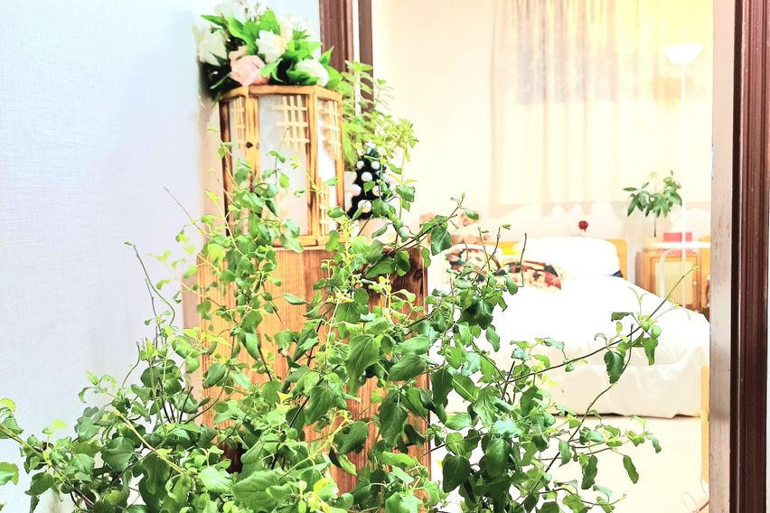 용마산힐링스테이 5번째 이미지