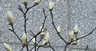 영은테스트장기할인 방 이미지