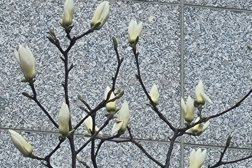 영은테스트장기할인