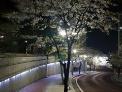 풀옵션의 전용 35평 14번째 이미지