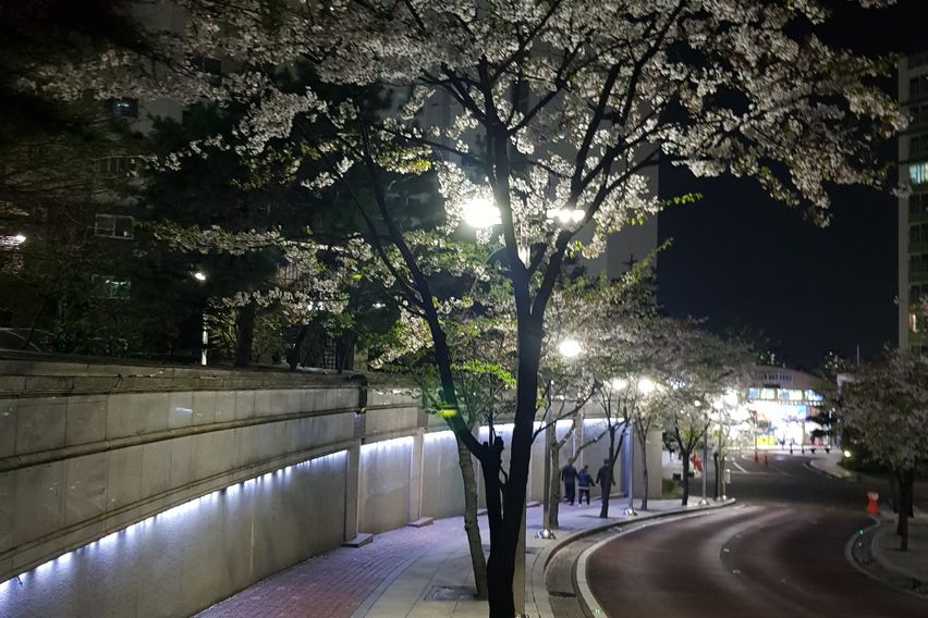 풀옵션의 전용 35평 14번째 이미지