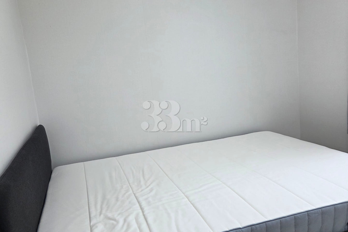 포근채 6번째 이미지