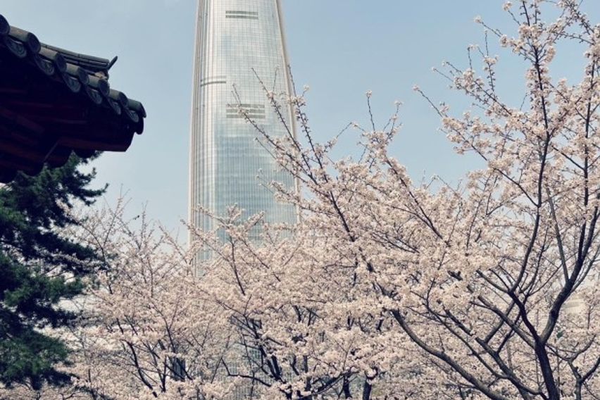 잠실 프리미엄롯데타워뷰