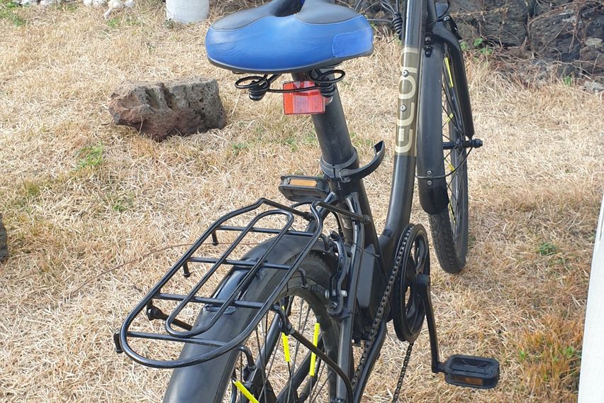 반려견행복한제주판포돌담 14번째 이미지