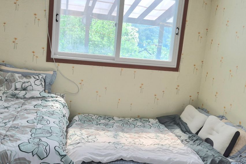 40평독채애견동반촌캉스