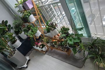 황성동 아늑한 집