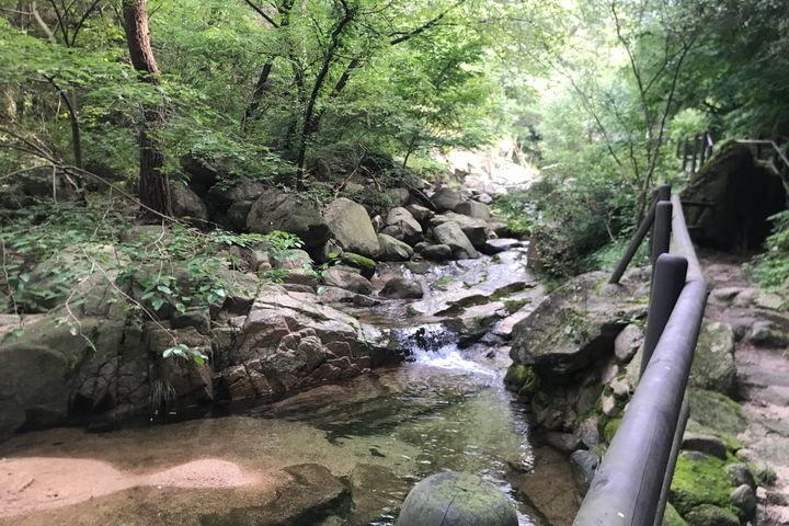 휴식+도심관광   19번째 이미지