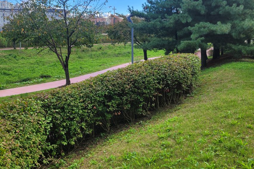 주엽역 cozy9풀옵션