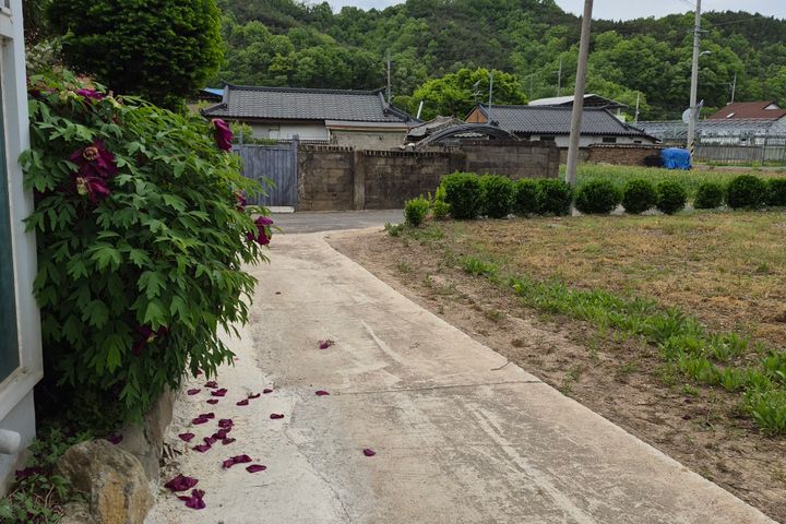 교장선생님네 시골집 7번째 이미지