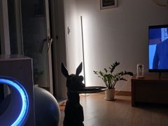 대전 영화촬영지 숲힐링 17번째 이미지