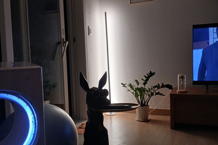 대전 영화촬영지 숲힐링 17번째 이미지