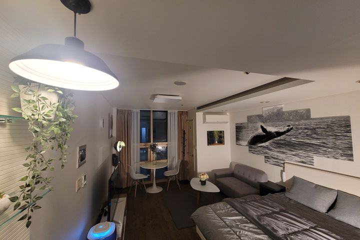 Seolleung Station, fully furnished. NH06 9th image