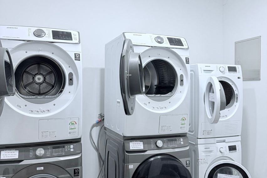 반려견O 해변한달살기 8번째 이미지