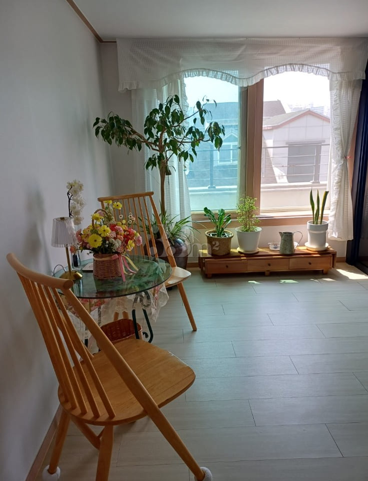 🏡 Anseong IC Penthouse 🍹 12th image