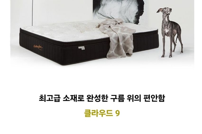 🌵아주대🌵광교투룸