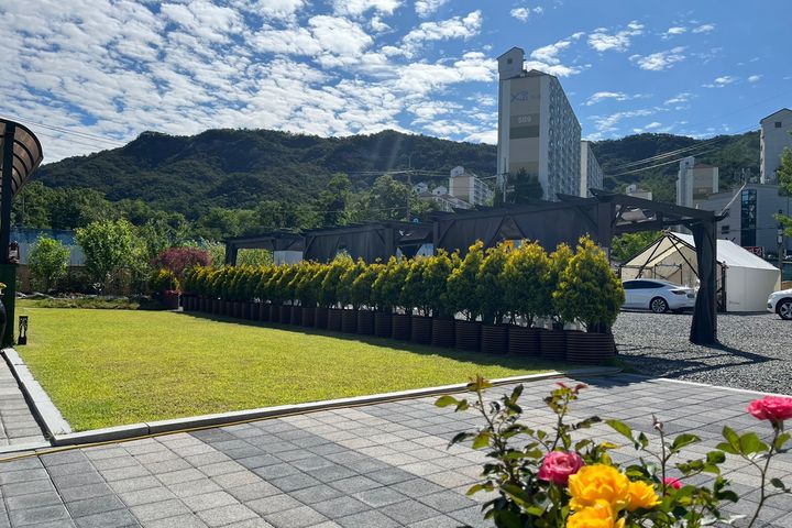 Cheonbosan Mountain: Pets allowed 1th image